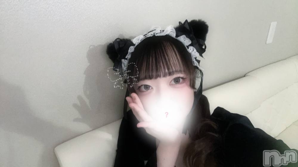 ʥå륺С󥻥ץȥե ˤޤ(󥻥ץȥե˥ޥ륭奦ǥ) Τ529̥֥֤Ҥޡ❕