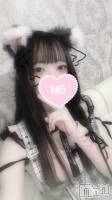 ʥå륺С󥻥ץȥե ˤޤ(󥻥ץȥե˥ޥ륭奦ǥ) Τ108̥֥֤ˤ塼🆕