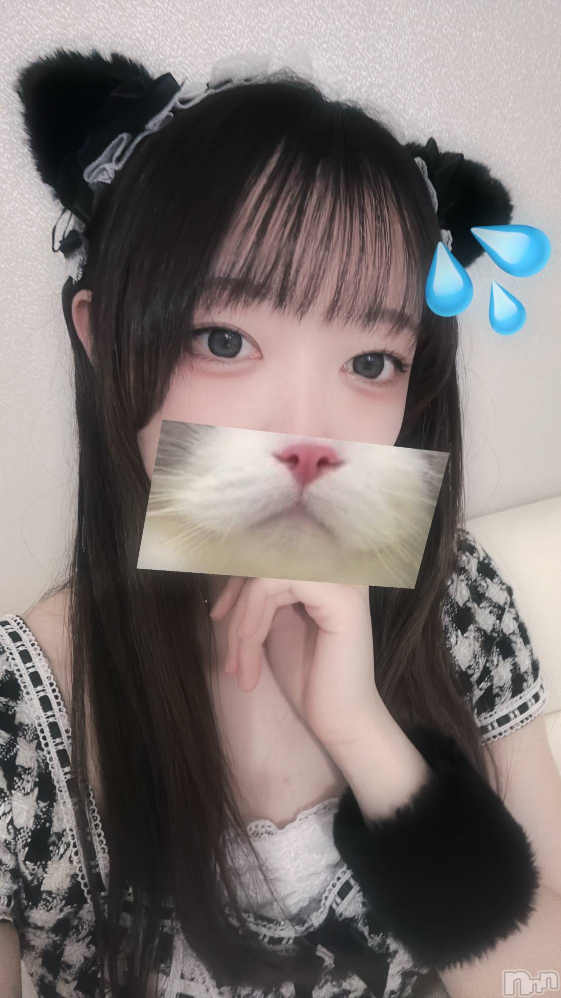 ʥå륺С󥻥ץȥե ˤޤ(󥻥ץȥե˥ޥ륭奦ǥ) 2025ǯ220̥֥֤ޤ䡢.........