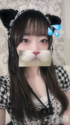 ʥå륺С󥻥ץȥե ˤޤ(󥻥ץȥե˥ޥ륭奦ǥ) Τ224ֻ̥֥Ϣ٤餹ȡ