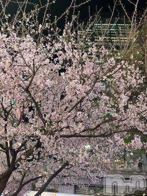 ʥå륺С󥻥ץȥե ˤޤ(󥻥ץȥե˥ޥ륭奦ǥ) Τ418̥֥֤🌸