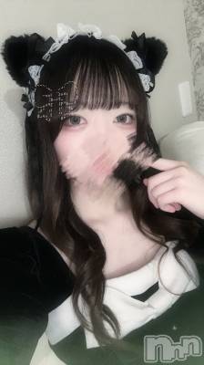 ʥå륺С󥻥ץȥե ˤޤ(󥻥ץȥե˥ޥ륭奦ǥ) Τ420̥֥֤ߤޤ衼