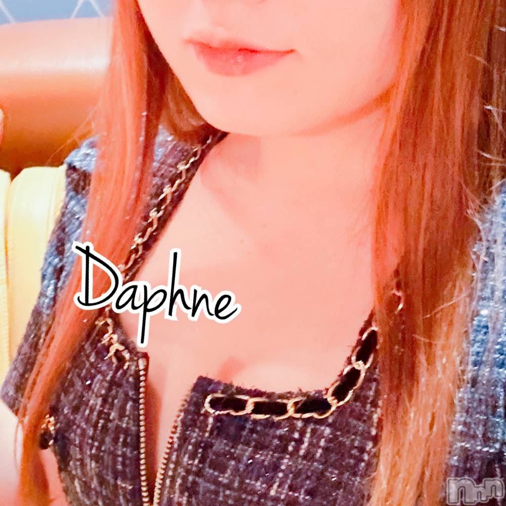 ĮХ顦Daphne(ե) 126ֽ̥֥ޤơ
