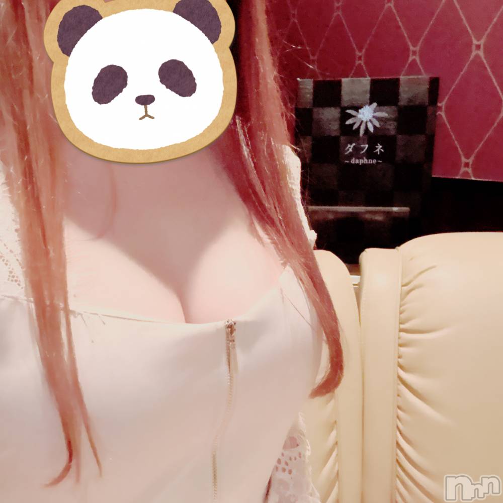 ĮХ顦Daphne(ե) 127̥֥