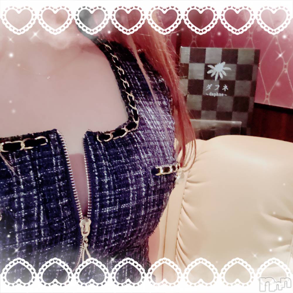 ĮХ顦Daphne(ե) 1230̥֥ġ