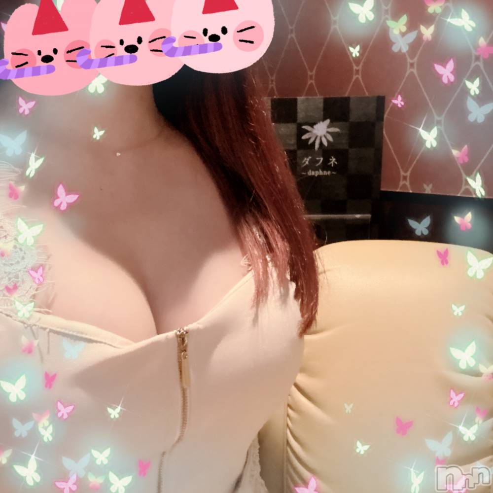 ĮХ顦Daphne(ե) 47̥֥֥󥰡