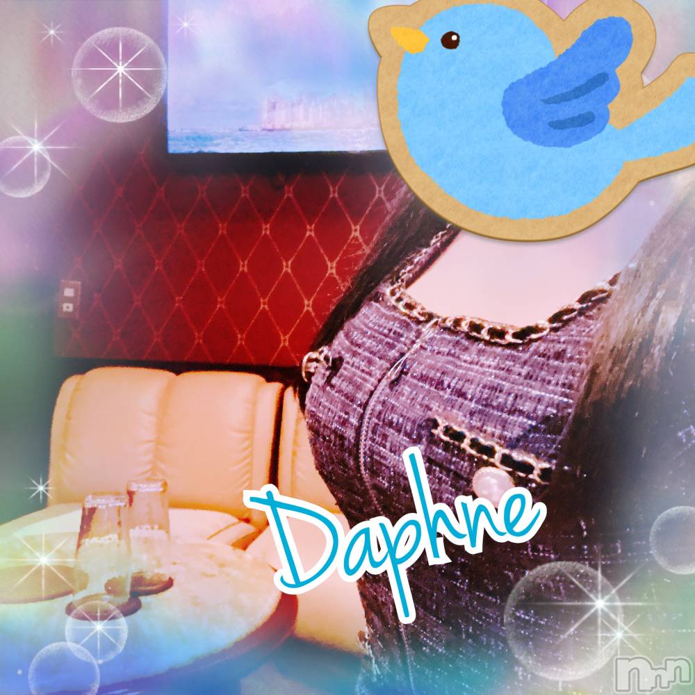 ĮХ顦Daphne(ե) 59ֿ̥֥Ĵޤ