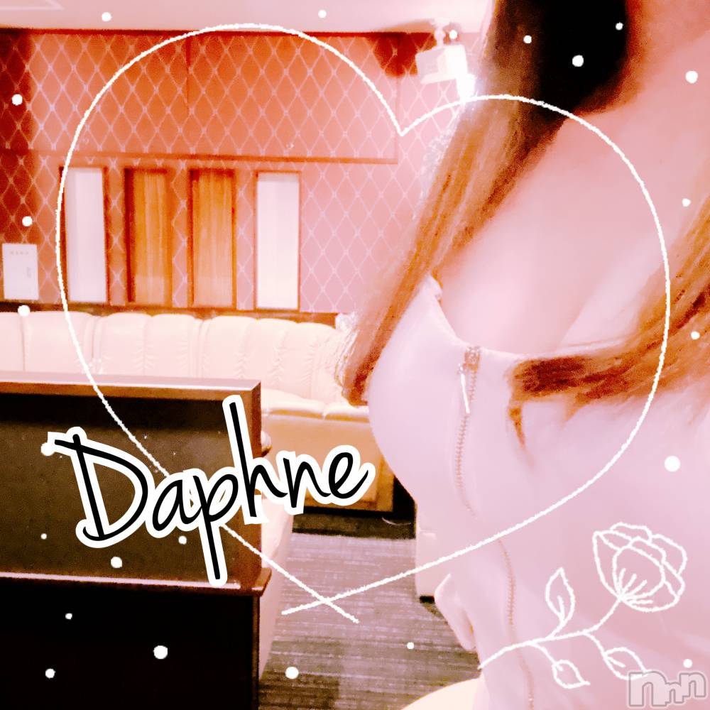ĮХ顦Daphne(ե) 530̥֥ᤤ
