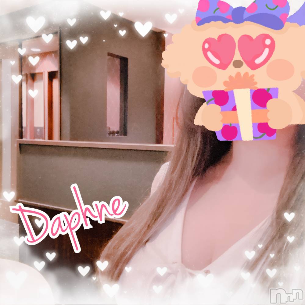 ĮХ顦Daphne(ե) 818̥֥֤ǤȤ
