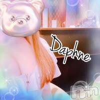 ĮХ顦Daphne(ե) 95ֲ̥֥