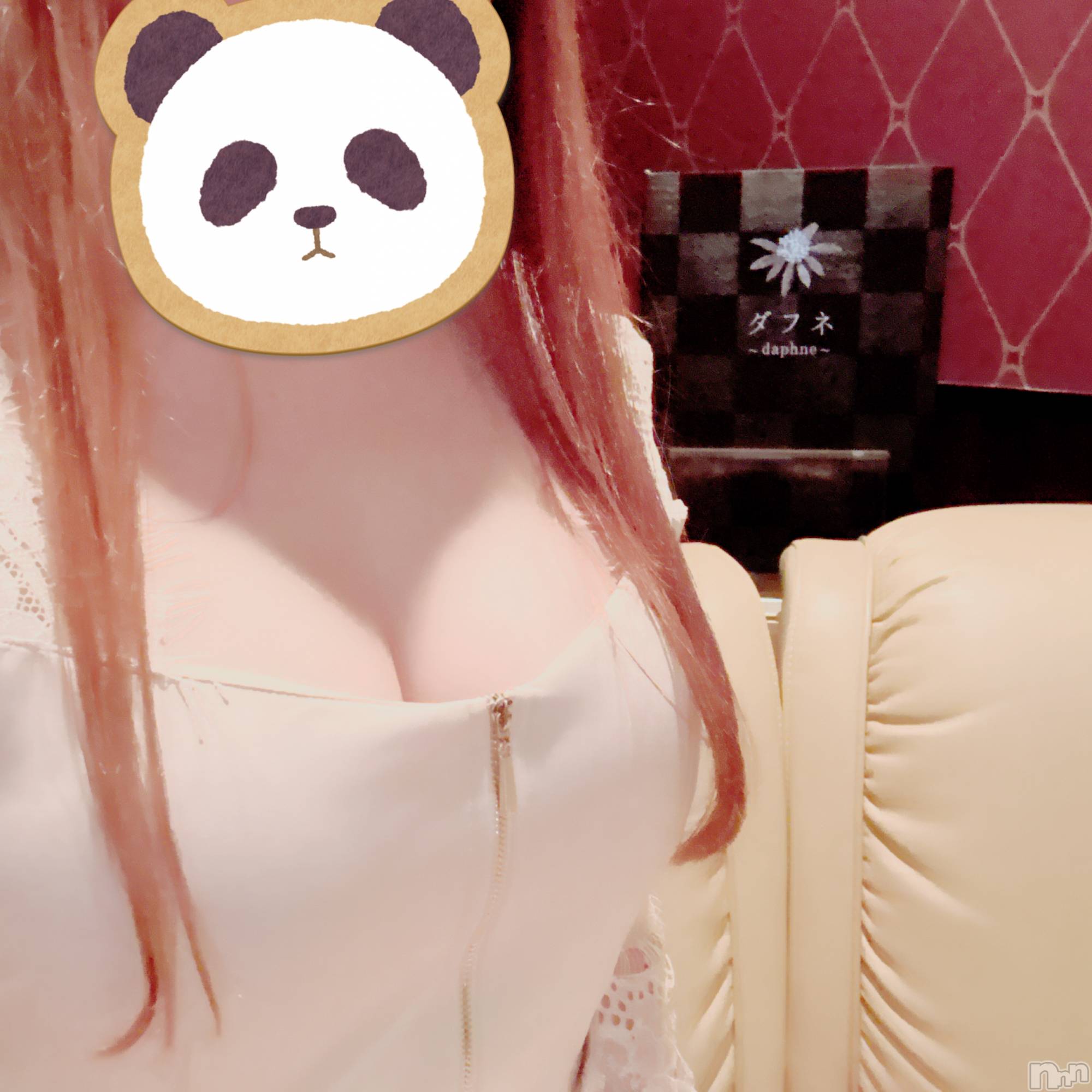 ĮХ顦Daphne(ե) 2024ǯ127̥֥