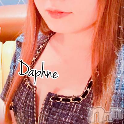 ĮХ顦Daphne(ե) 126ֽ̥֥ޤơ