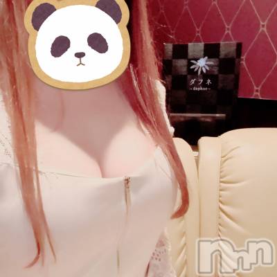 ĮХ顦Daphne(ե) 127̥֥