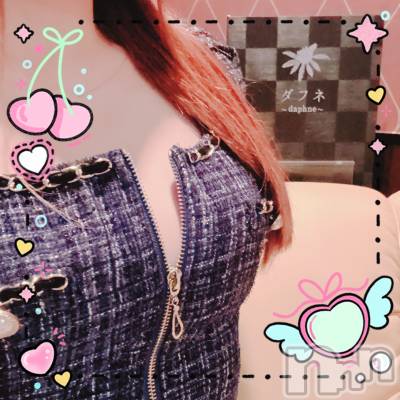 ĮХ顦Daphne(ե) 1227ִ̥֥͡