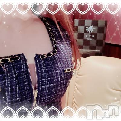 ĮХ顦Daphne(ե) 1230̥֥ġ