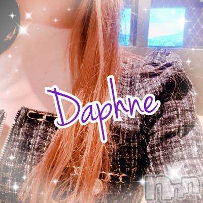 ĮХ顦Daphne(ե) 110̥֥֥饪