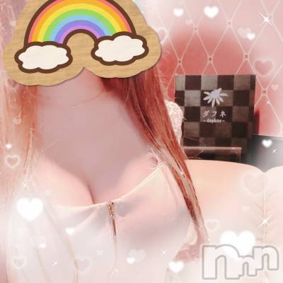 ĮХ顦Daphne(ե) 37̥֥֤Τ
