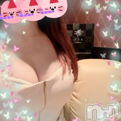 ĮХ顦Daphne(ե) 47̥֥֥󥰡