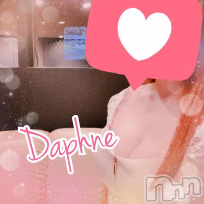 ĮХ顦Daphne(ե) 48̥֥֤Τ