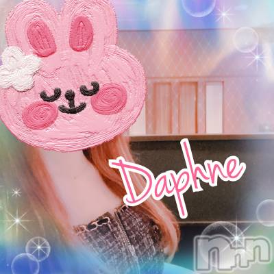 ĮХ顦Daphne(ե) 414ָ̥֥