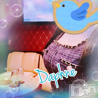 ĮХ顦Daphne(ե) 59ֿ̥֥Ĵޤ