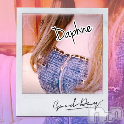 ĮХ顦Daphne(ե) 512̥֥©Ƥ