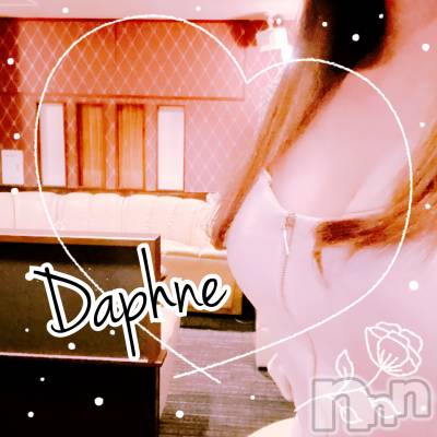 ĮХ顦Daphne(ե) 530̥֥ᤤ