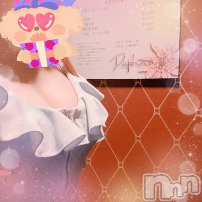ĮХ顦Daphne(ե) 618ּ̥֥ǯ