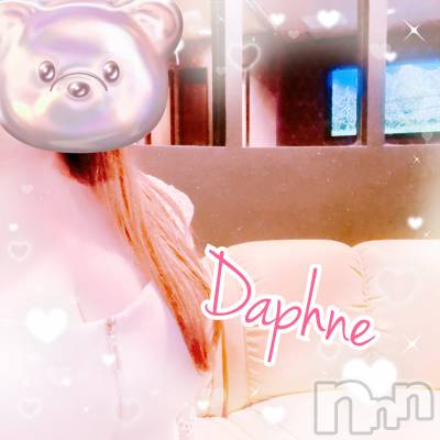 ĮХ顦Daphne(ե) 626̥֥פ