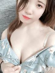 新潟デリヘル奥様特急 新潟店(オクサマトッキュウニイガタテン) あいこ(26)の1月18日写メブログ「あいこと遊んでくれる優しいお兄様いないかな(*´-`)」