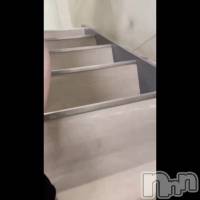 あいこ