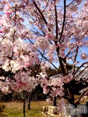 松本発デリヘルVANILLA(バニラ) やよい(27)の5月6日写メブログ「今週の出勤♥️」