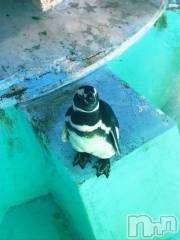 松本発デリヘルVANILLA(バニラ) やよい(27)の5月8日写メブログ「出勤です！」