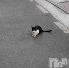 松本発デリヘルVANILLA(バニラ) やよい(27)の8月27日写メブログ「♥️」