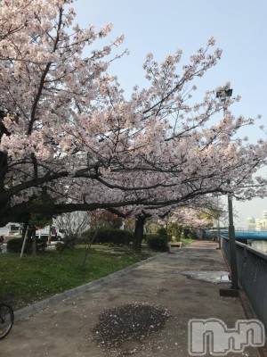 松本発デリヘル VANILLA(バニラ) やよい(27)の3月26日写メブログ「鼻ぐしゅ」