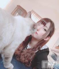 長岡デリヘルROOKIE(ルーキー) りりさ(21)の12月11日写メブログ「残りひと枠♡⃛♡⃛」
