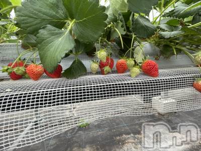 ȯĥХ顦CLUB  F.ROZEN(֥ե) 416̥֥֤🍓