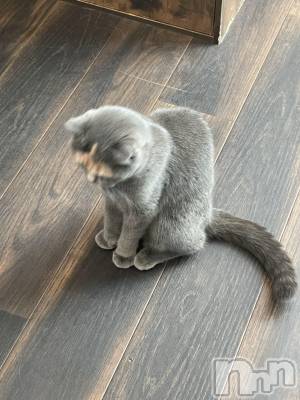 ȯĥХ顦CLUB  F.ROZEN(֥ե) 516̥֥ǭե🐱ྀི🐱ྀི