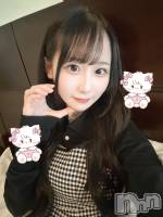 ƲХ顦151-A() Ҥʤ830̥֥(^ ̳ - ·̫ - ̳^)🎀
