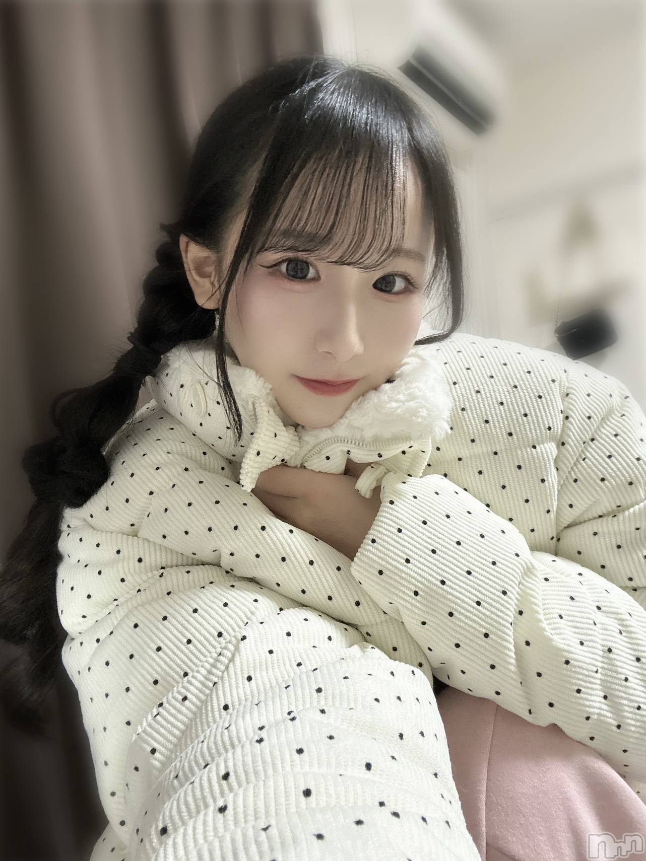 ��Ʋ����Х��顦�����151-A(������������) ��2026ǯ1��14���̥�֥����֤椭����