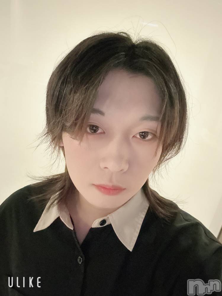 ĮۥȡܡСA151(ݥ) ߺ117ֿ̥֥ߤν