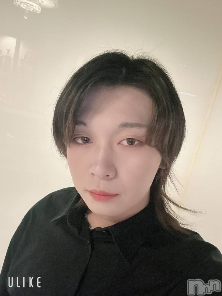 ĮۥȡܡСA151(ݥ) ߺ118̥֥֤줫鱫³Ȥ