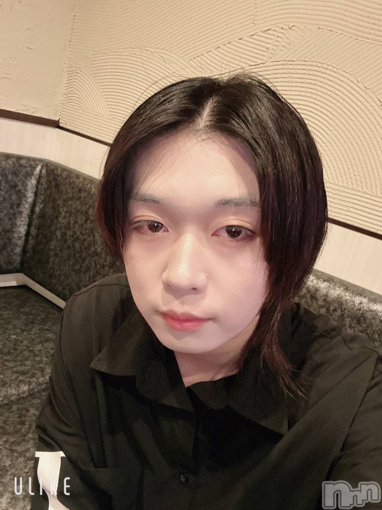 ĮۥȡܡСA151(ݥ) ߺ1110̥֥֤⤦10