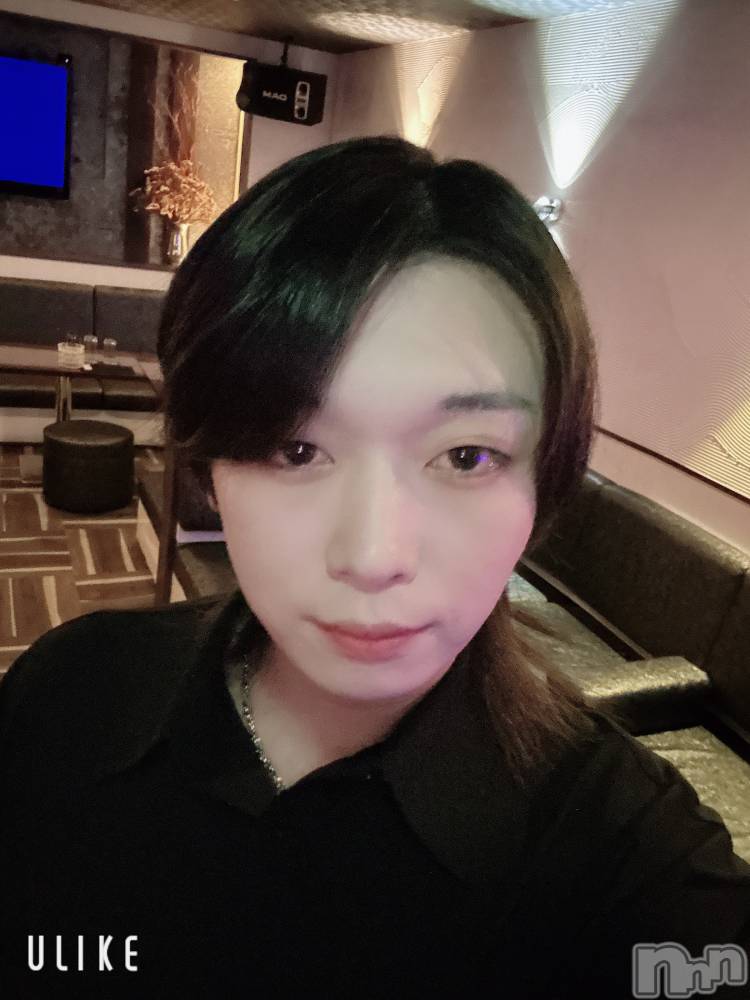 ĮۥȡܡСA151(ݥ) ߺ1123̥֥100Ѥ硼