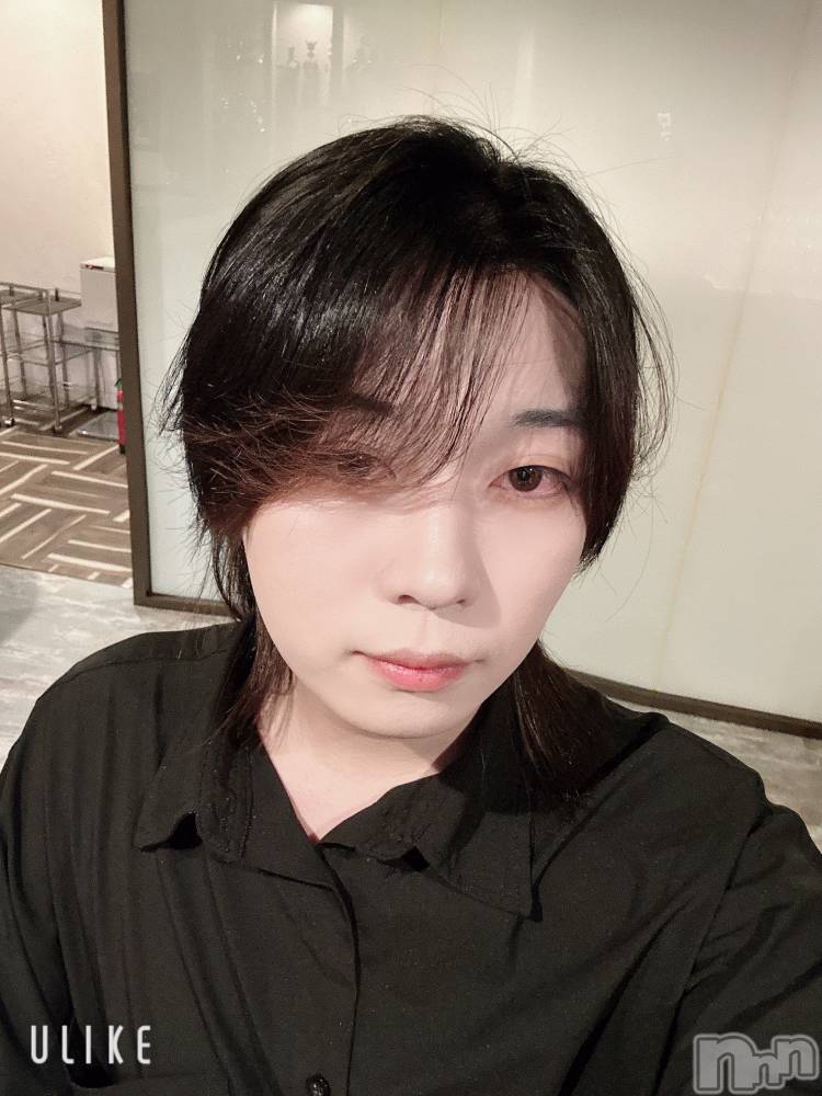 ĮۥȡܡСA151(ݥ) ߺ1128̥֥֤⤦