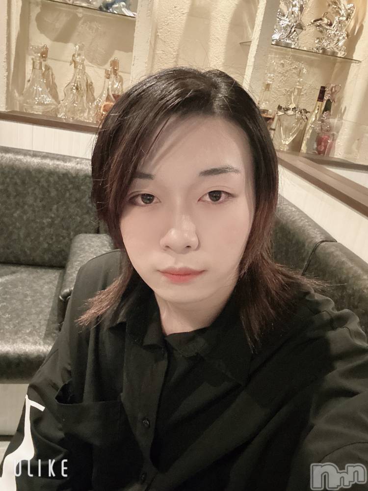 ĮۥȡܡСA151(ݥ) ߺ1210̥֥֤Ǥ̣