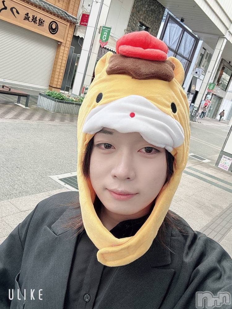 ĮۥȡܡСA151(ݥ) ߺ1212ַ̥֥ϸ̱θؤ