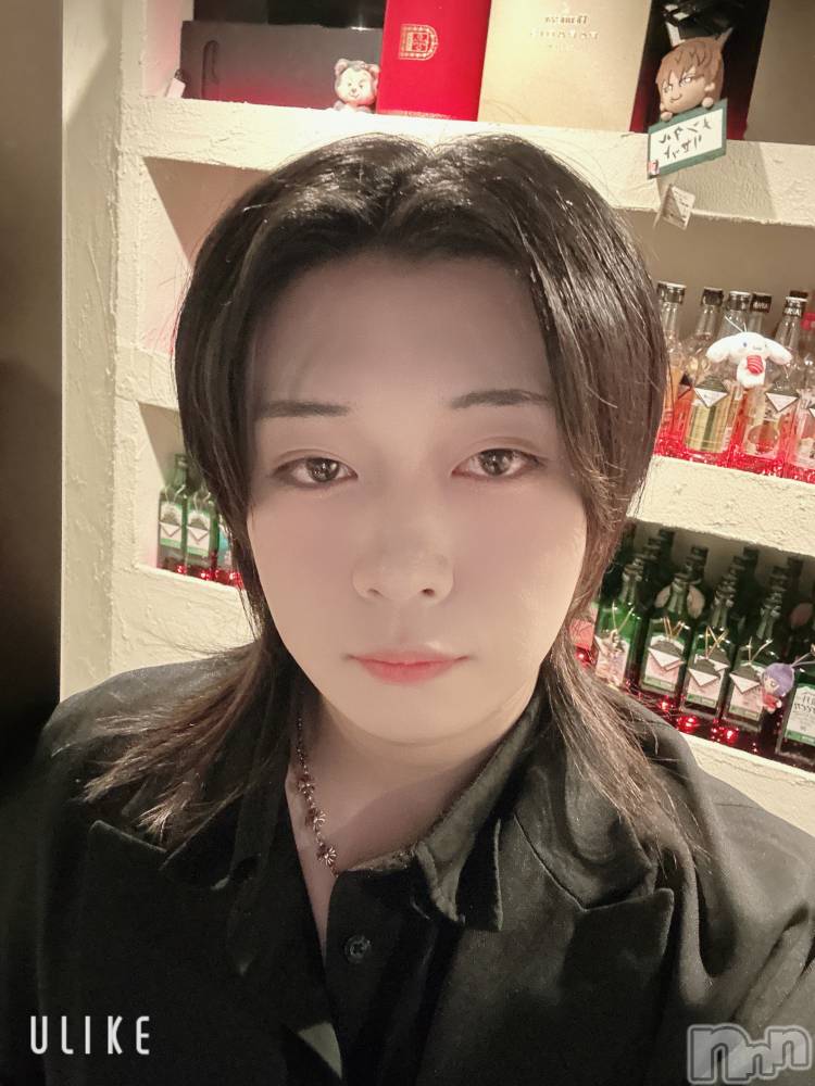 ��Į�ۥ��ȡ��ܡ������С�A151(�����������ݥ���) ������ߺ��1��28���̥�֥�������ƻ��ɹ��Ф���