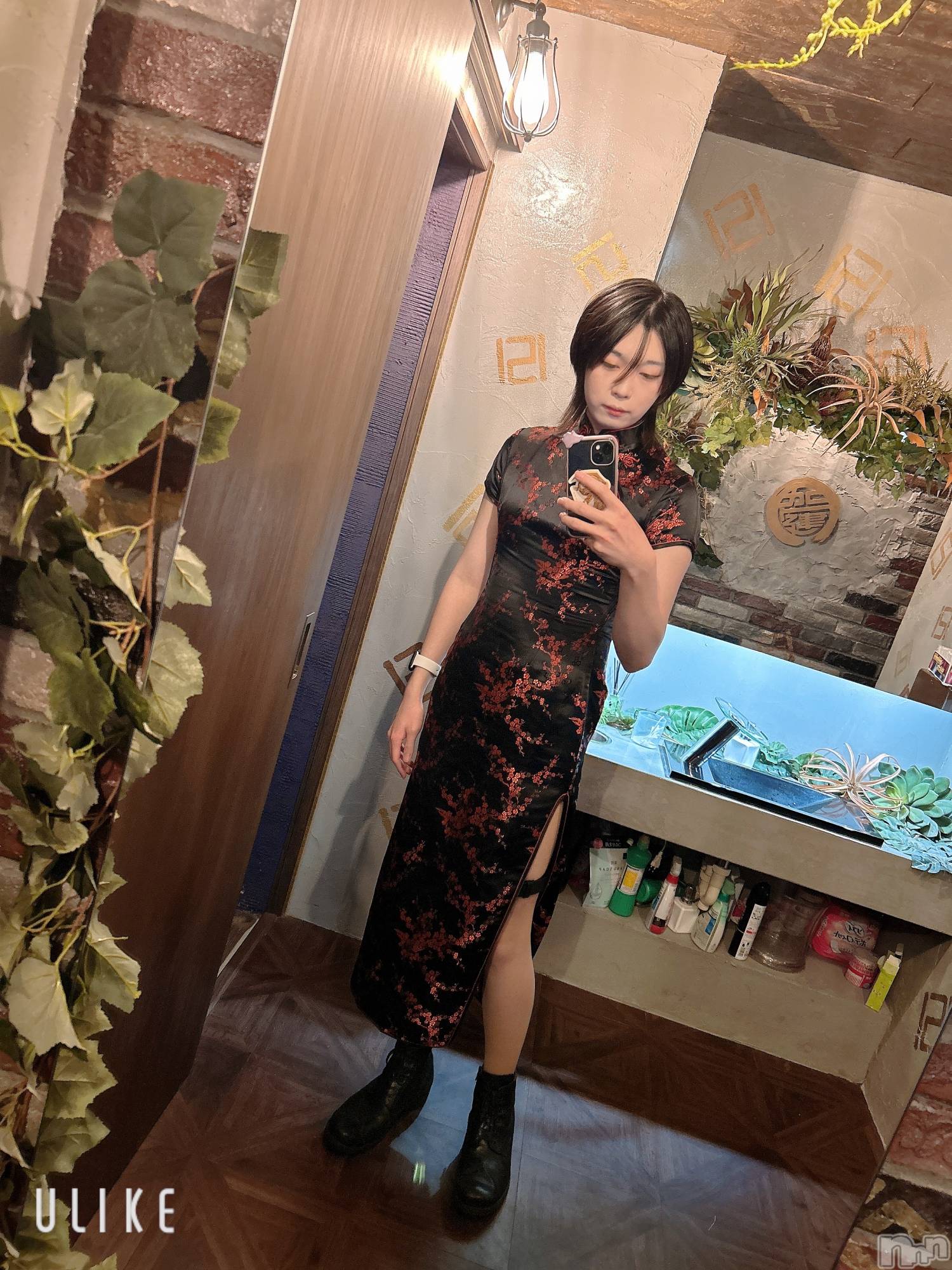 ĮۥȡܡСA151(ݥ) 2025ǯ1031̥֥֥ȥåȥ꡼ȡ