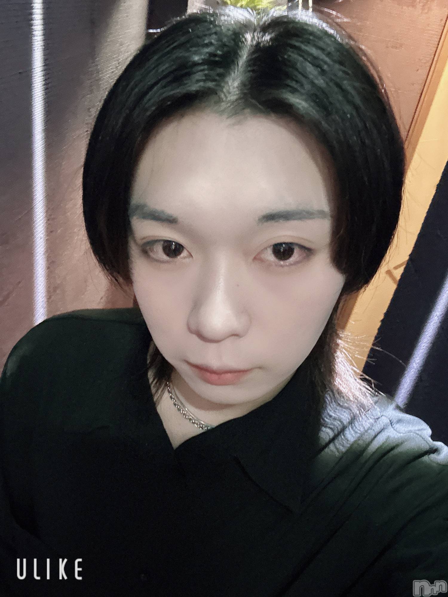 ĮۥȡܡСA151(ݥ) 2025ǯ116ֺ̥֥ǶᤴӤ̣ƤФ